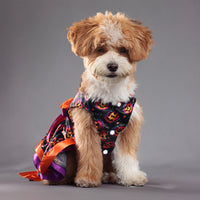 HKM-0435133 Halloween Double-layer Pet Skirt in Colorful Pumpkin and Skull Designs