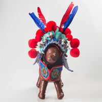 HKM-0437309 Cute Red Martial Arts Character Pet Dress ¨C Transformation Costume for Small and Large Pets
