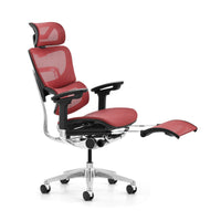 HKM-043859 Ergonomic High Back Mesh Office Chair with Adjustable Headrest and Swivel Function