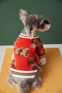 HKM-0440509 Preppy V-Neck Striped Pet Sweater for Dogs and Cats - Winter Warm Apparel with Leash Hole