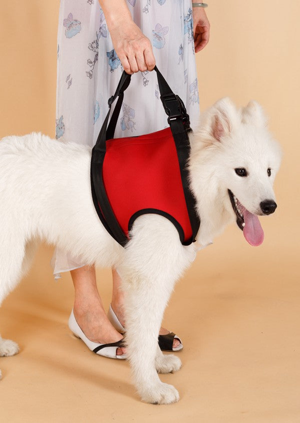 HKM-0441789 Elderly Dog Hind Leg Assist Belt - High-Grade Diving Material Support Belt in Multiple Colors