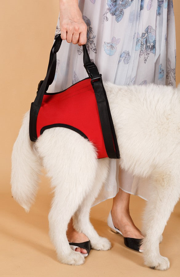 HKM-0441789 Elderly Dog Hind Leg Assist Belt - High-Grade Diving Material Support Belt in Multiple Colors