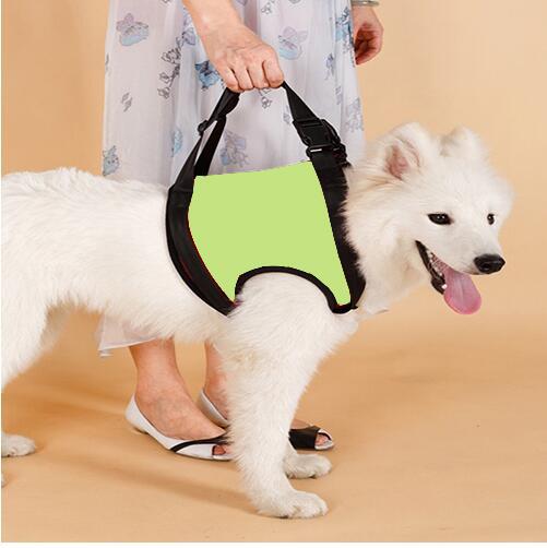 HKM-0441789 Elderly Dog Hind Leg Assist Belt - High-Grade Diving Material Support Belt in Multiple Colors