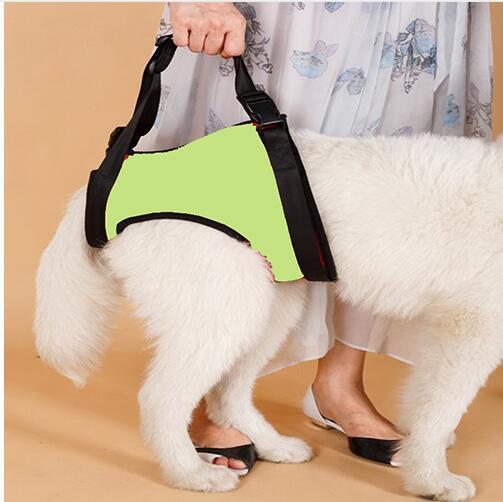 HKM-0441789 Elderly Dog Hind Leg Assist Belt - High-Grade Diving Material Support Belt in Multiple Colors