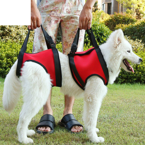 HKM-0441789 Elderly Dog Hind Leg Assist Belt - High-Grade Diving Material Support Belt in Multiple Colors