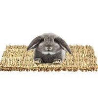 HKM-0442557 Durable 3-Pack Wooden Rabbit & Small Animal Mat Toy Bed for Guinea Pigs and Chinchillas