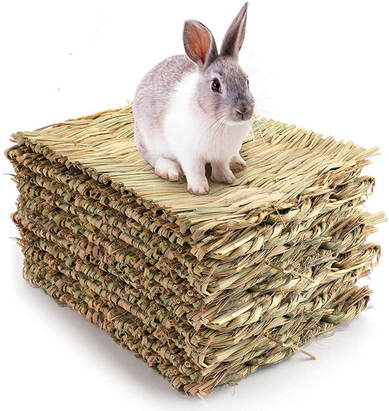HKM-0442557 Durable 3-Pack Wooden Rabbit & Small Animal Mat Toy Bed for Guinea Pigs and Chinchillas