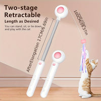 HKM-0445757 Retractable Cat Teaser Wand with Replaceable Feather and Tassel Heads for Indoor Play