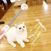 HKM-0445757 Retractable Cat Teaser Wand with Replaceable Feather and Tassel Heads for Indoor Play