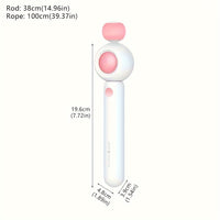 HKM-0445757 Retractable Cat Teaser Wand with Replaceable Feather and Tassel Heads for Indoor Play