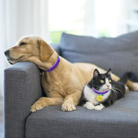 HKM-0450237 Adjustable Stress Relief Dog and Cat Comfort Collar, 62cm and 38cm Options