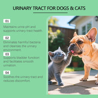 HKM-0454077 Urinary Health Support Drops for Cats and Dogs