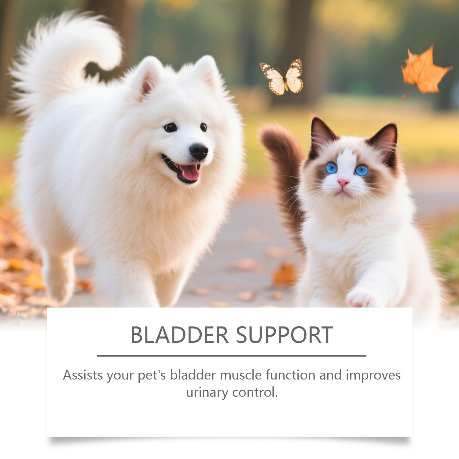 HKM-0454077 Urinary Health Support Drops for Cats and Dogs
