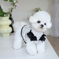 HKM-0467901 Chiffon Pet Skirt in Black ¨C Sizes XXS to 3XL