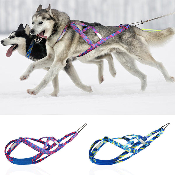 HKM-0468797 Dog Sled Chest Harness with Hand Holding Rope for Pet Control - Blue/Rose Red