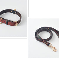 HKM-0469309 Durable PU Dog Leash and Collar Combo in Black, Red, Yellow, and Coffee
