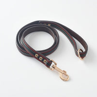 HKM-0469309 Durable PU Dog Leash and Collar Combo in Black, Red, Yellow, and Coffee