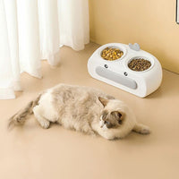HKM-0469693 Duck Design Pet Double Bowl Tray for Cats and Dogs - Plastic Food and Water Feeder