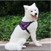 HKM-0474557 Adjustable Chest Strap for Dogs - Cloth Material, Available in Blue, Black, Red, Purple, Sizes S to XL