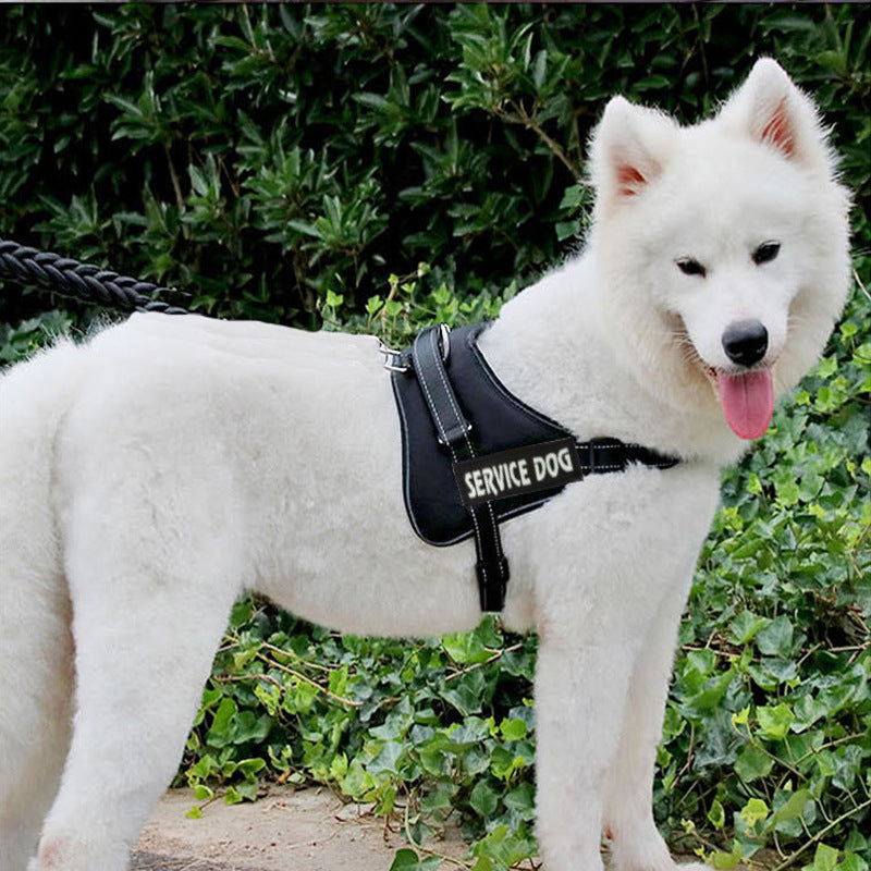 HKM-0474557 Adjustable Chest Strap for Dogs - Cloth Material, Available in Blue, Black, Red, Purple, Sizes S to XL
