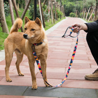 HKM-0475069 Durable Polyester Dog Leash with Zinc Alloy Fittings - Multiple Widths Available