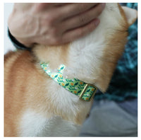 HKM-0477245 Flower Pattern Nylon Ribbon Pet Collar for All Seasons - Multiple Sizes Available
