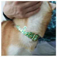 HKM-0477245 Flower Pattern Nylon Ribbon Pet Collar for All Seasons - Multiple Sizes Available