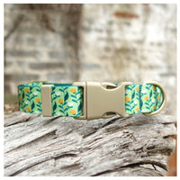 HKM-0477245 Flower Pattern Nylon Ribbon Pet Collar for All Seasons - Multiple Sizes Available