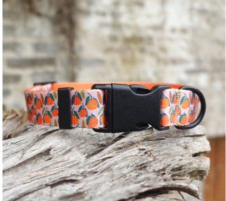 HKM-0477245 Flower Pattern Nylon Ribbon Pet Collar for All Seasons - Multiple Sizes Available