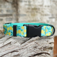 HKM-0477245 Flower Pattern Nylon Ribbon Pet Collar for All Seasons - Multiple Sizes Available