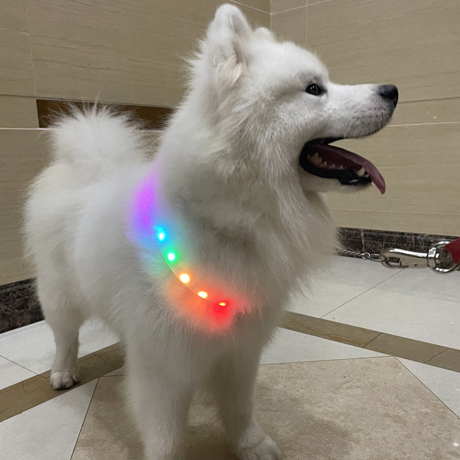 HKM-0483645 LED Pet Collar with Adjustable Fit and USB Charging for Nighttime Safety