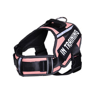 HKM-048403 Reflective Nylon Dog Leash with Chest Harness Compatibility - Breathable and Stylish in Multiple Colors