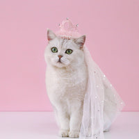HKM-0485821 Elegant Princess Crown Headdress for Pet Weddings and Birthdays - Beige and Pink with Veil