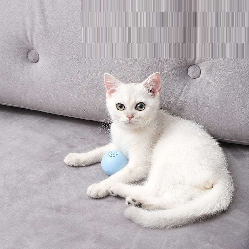 HKM-0488381 Self-Hi Music Ball Toy for Cats - Interactive Sound and Bites in Blue, Pink, and Green