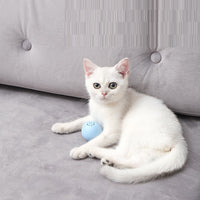 HKM-0488381 Self-Hi Music Ball Toy for Cats - Interactive Sound and Bites in Blue, Pink, and Green
