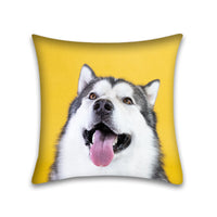 HKM-048915 Modern Peach Skin Pillowcase for Pets - 45x45 Cushion Cover
