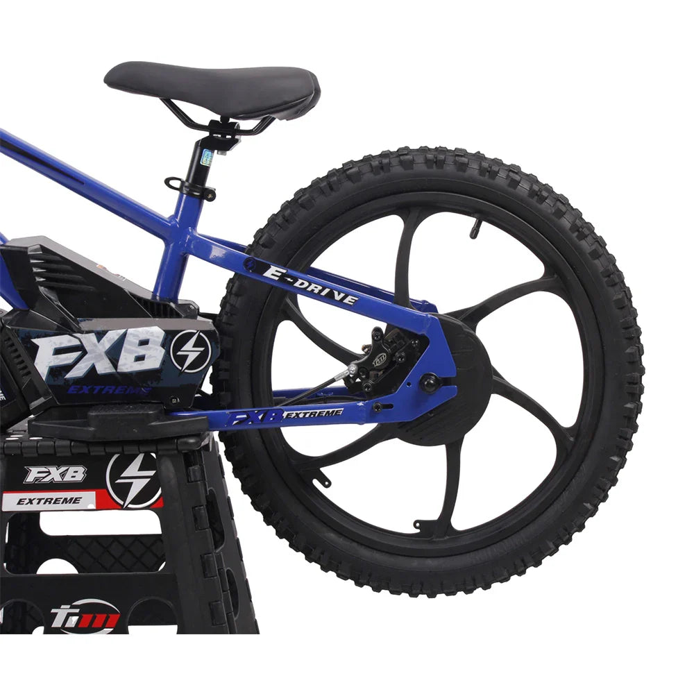 HKM-049939 Electric Balance Bike for Kids - 20 Inch Wheel, 600W Brushless Motor, 36V Battery, Hydraulic Brakes, Ages 8-13