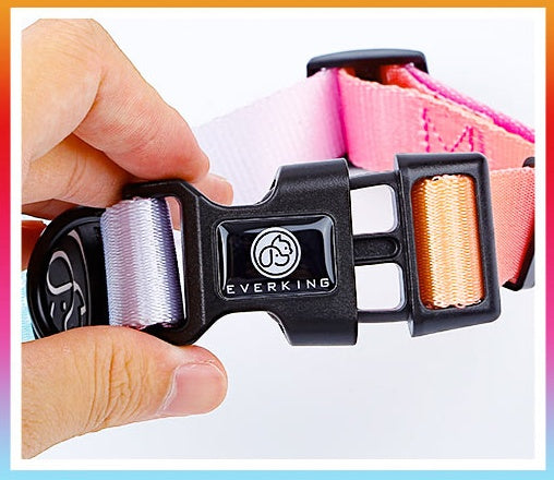 HKM-0501565 I Shaped Chest Strap Dog Collar and Leash Set in Various Colors