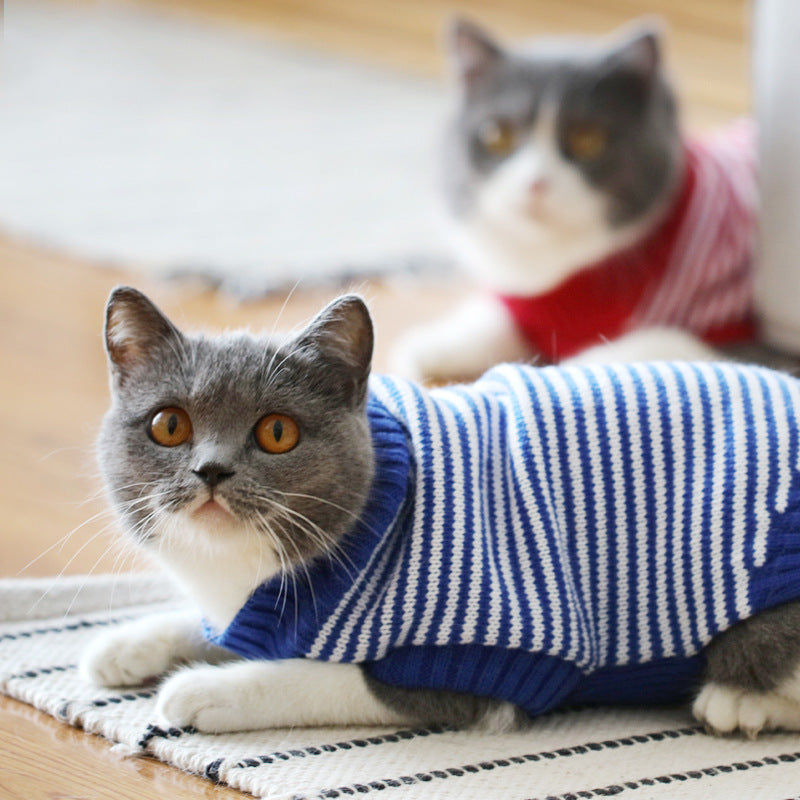 HKM-0506045 Cozy Blue Cat Sweater for Autumn and Winter, Bulky Acrylic, Various Sizes Available