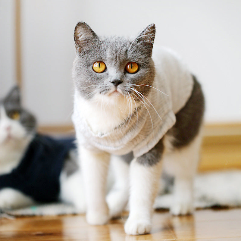 HKM-0506045 Cozy Blue Cat Sweater for Autumn and Winter, Bulky Acrylic, Various Sizes Available
