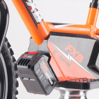 HKM-051091 16-Inch Electric Balance Bike for Kids with Steel Fork and 350W Motor