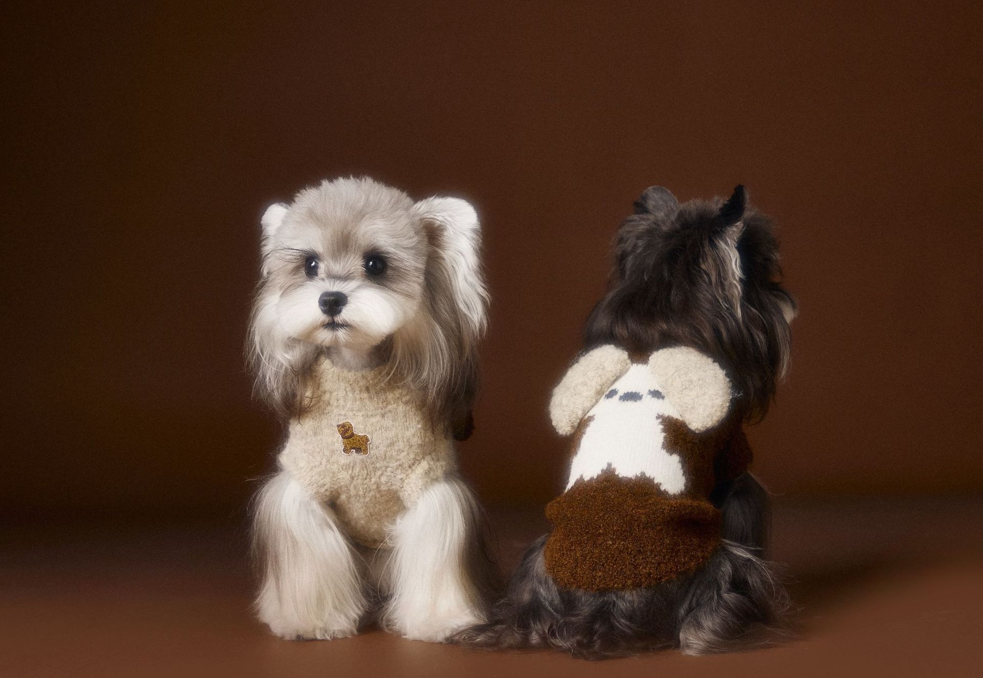 HKM-0512573 Sleeveless Three-Dimensional Ear Sweater Vest for Small Dogs in Beige and Coffee Colors
