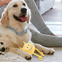 HKM-0515261 Durable Cartoon Dog Squeaky Toy - Chewable Teething with Knot Design, Ideal for Interactive Play and Teeth Cleaning