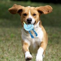 HKM-0515261 Durable Cartoon Dog Squeaky Toy - Chewable Teething with Knot Design, Ideal for Interactive Play and Teeth Cleaning