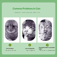 HKM-0519613 Catnip Mint Powder for Hairball Relief and Oral Hygiene for Cats - 1g Bag