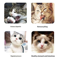 HKM-0519613 Catnip Mint Powder for Hairball Relief and Oral Hygiene for Cats - 1g Bag