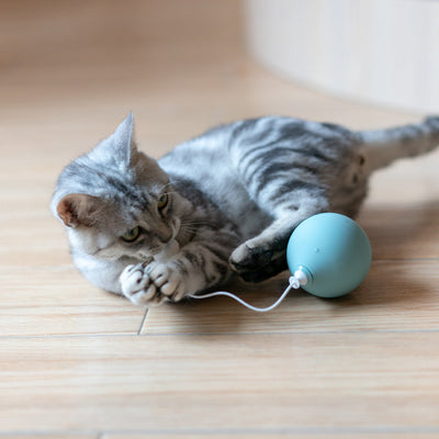HKM-0520381 Electric Cat Toy with Automatic Shut-off - Fun Interactive Play for Cats