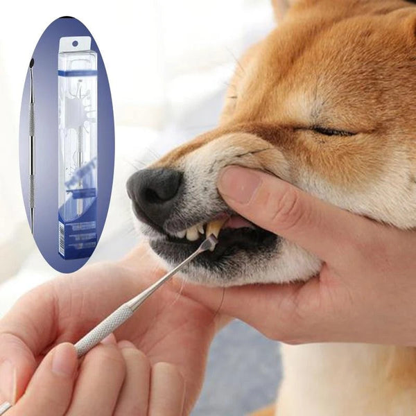HKM-0521405 Pet Dental Care Tool - Stainless Steel Teeth Cleaning Pen for Tartar and Calculus Removal