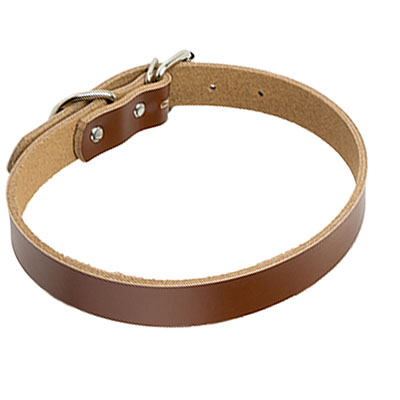 HKM-0521533 PU Leather Dog Collar and Chain - Red, Blue, Black, Pink, Brown, Sky Blue - Sizes XS to XL
