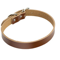 HKM-0521533 PU Leather Dog Collar and Chain - Red, Blue, Black, Pink, Brown, Sky Blue - Sizes XS to XL